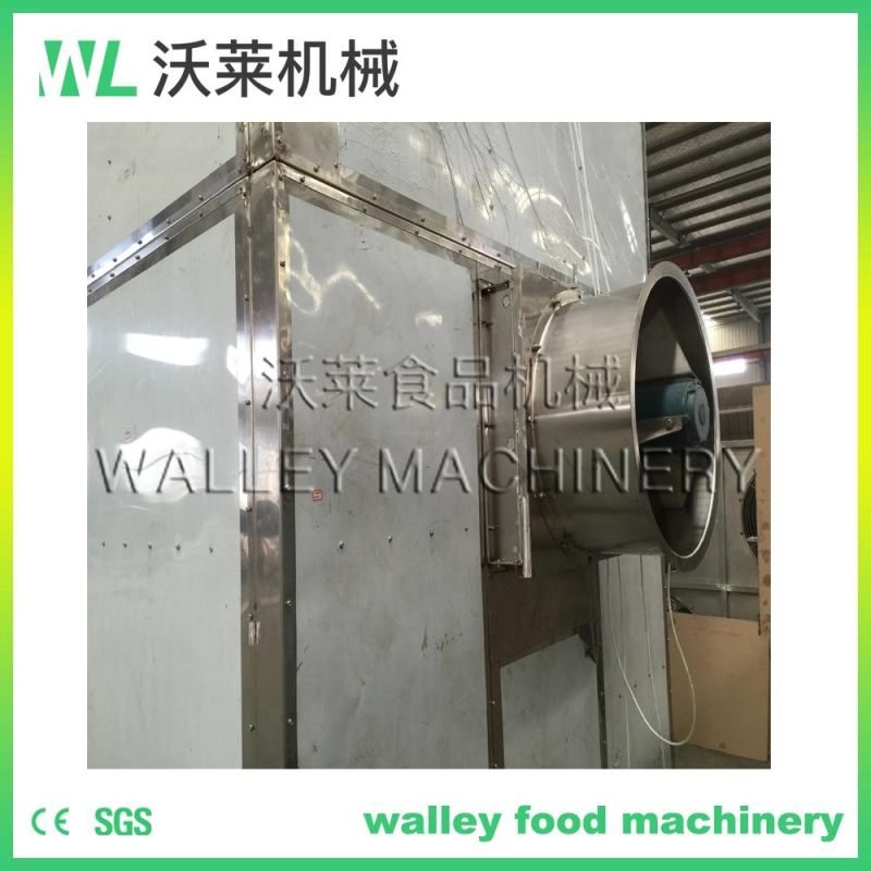 China Fruit Mango Grape Banana Room Dryer Machine