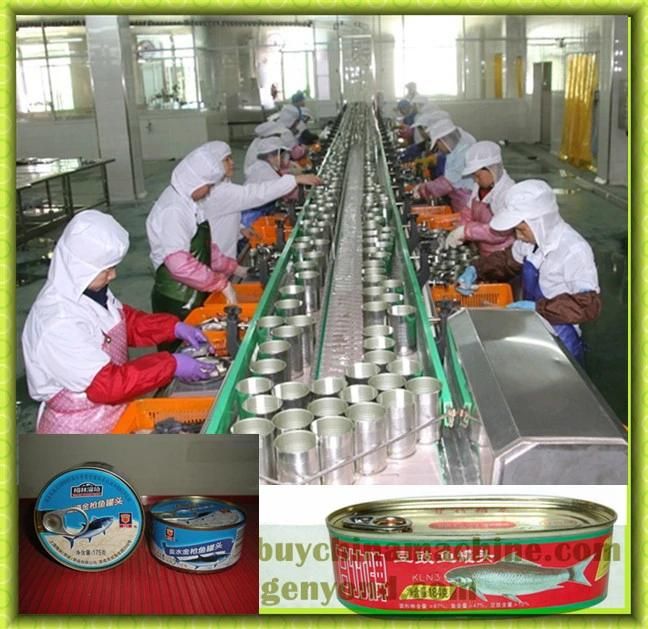 Full Automatic Canned Fish Machine