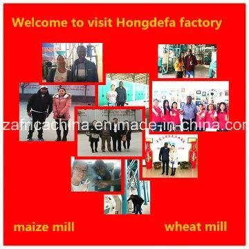 Maize Mill Plant Maize Processing Line Grits Making Equipment