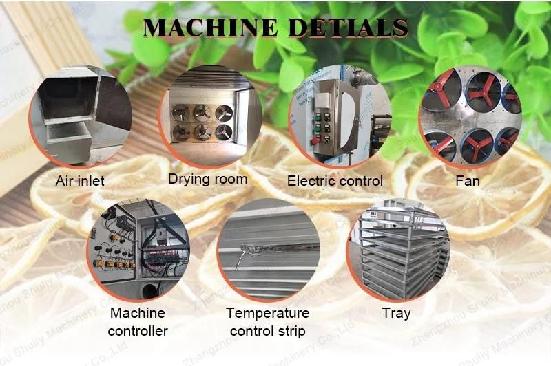 Automatic Onion Beef Jerky Maize Grain Dryer Drying Machine