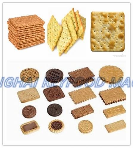 Low Cost Stainless Steel Automatic Biscuit Machine for Cookie
