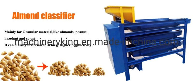 Peanut Kernel Sorting Machine Peanut Grading Machine Almond Sorting Machine