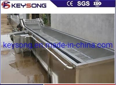 Washer Fruit and Vegetable Washing Machinery