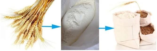 Small Hot Sell Best Price Mini Wheat Flour Mill Price