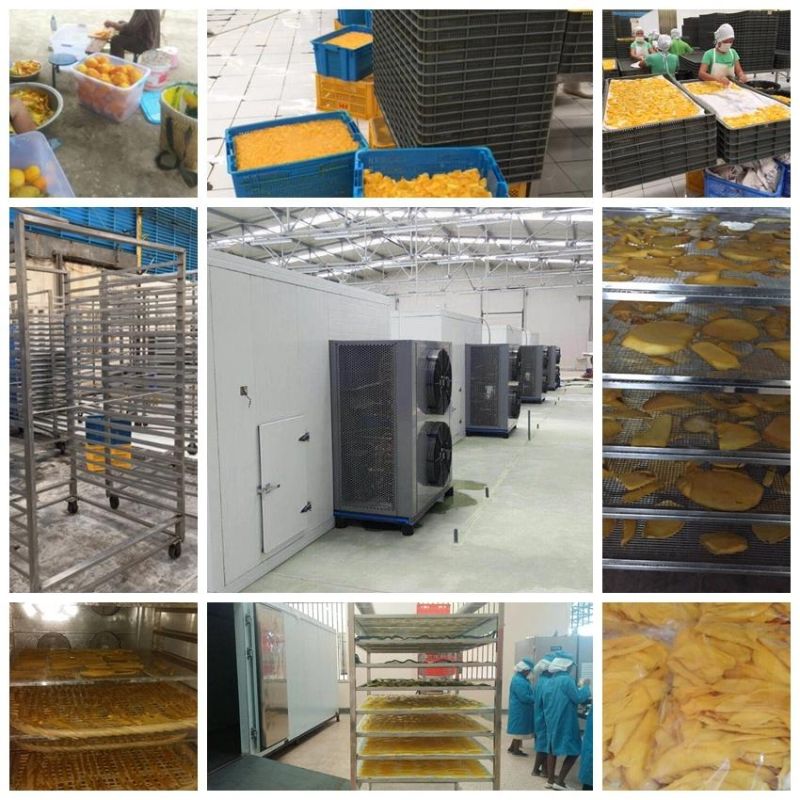 Commercial Fruit Dried Dehydrating Machine/Hot Air Oven Mango Dryer