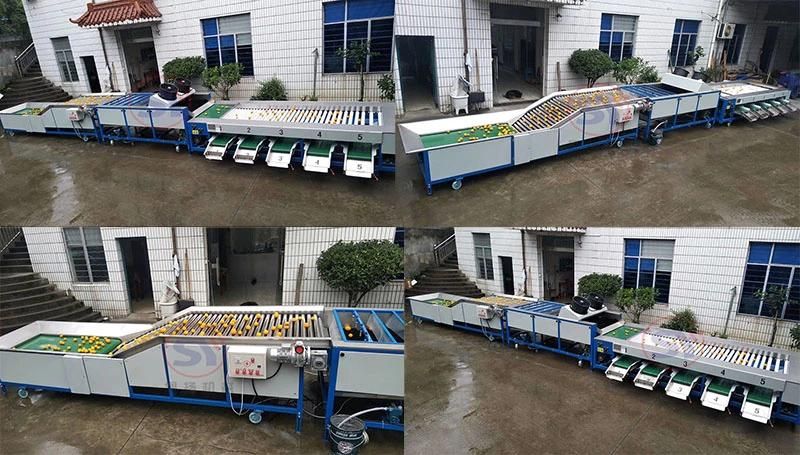 Industrial High Efficiency Fruit Sorter Machine for Apple/Pear/Orange Sorting Potatoes