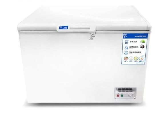 Chest Freezer Cooling Machine Refrigerator Food Fresh Controller Storage Freezing Machinery