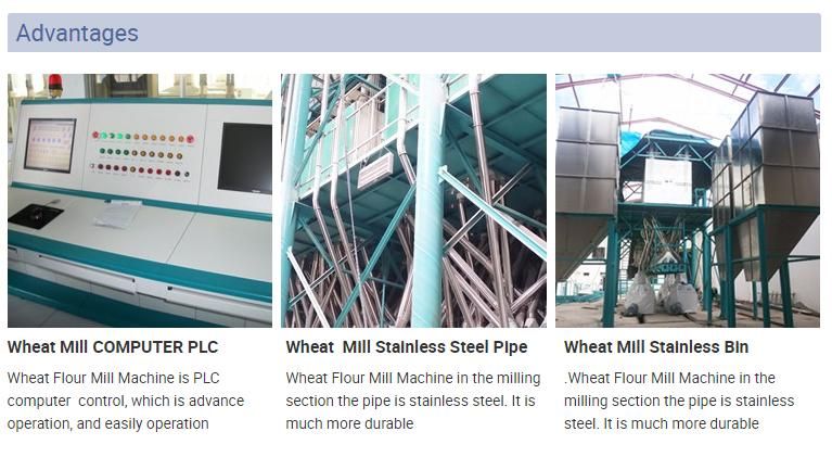 European Standard Complete Wheat Processing Mill Plant