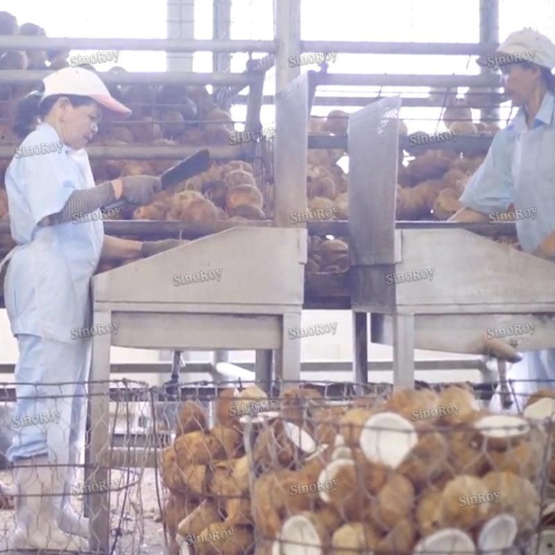 5-10 Tons Per Hour Coconut Milk Processing Line Coconut Cream Processing Line Coconut Water Processing Line