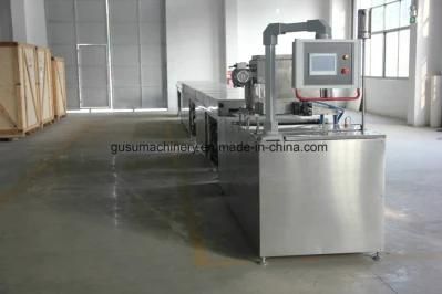 China Chocolate Chips Depositor Machine Manufacturer