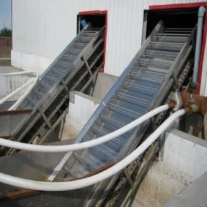 Tomato Belt Bucket Elevator