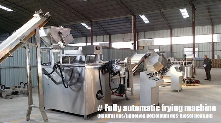 Fully Automatic Fryer Potato Chips Fryer Machine Big Fryer