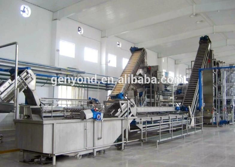 Tomato Paste Making Machine in China