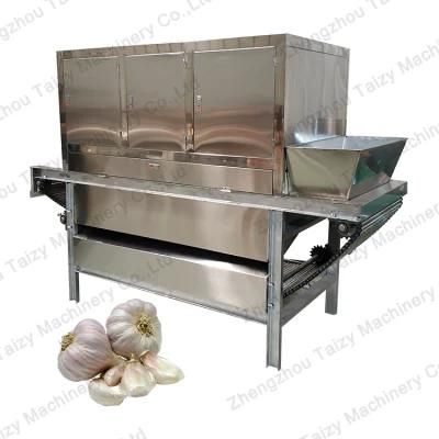 Automatic Garlic Skin Removing Machine Garlic Peeler Garlic Peeling Machine China