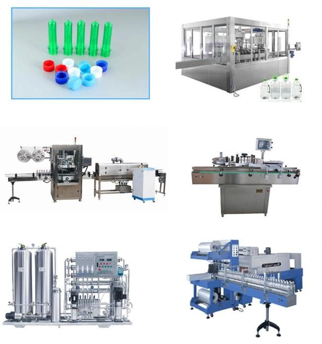 Automatic Plastic/Pet Bottle Blow/Blowing/Making Molding Machine