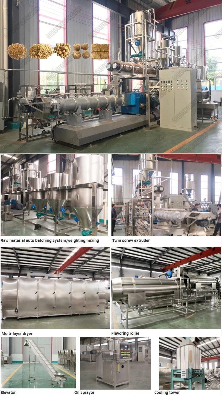 Puffed Textured Soy Protein Tsp Tvp Making Machinery