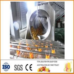 Beverage Production Line SS304 Apple Juice Production Line Mango Juice Processing ...