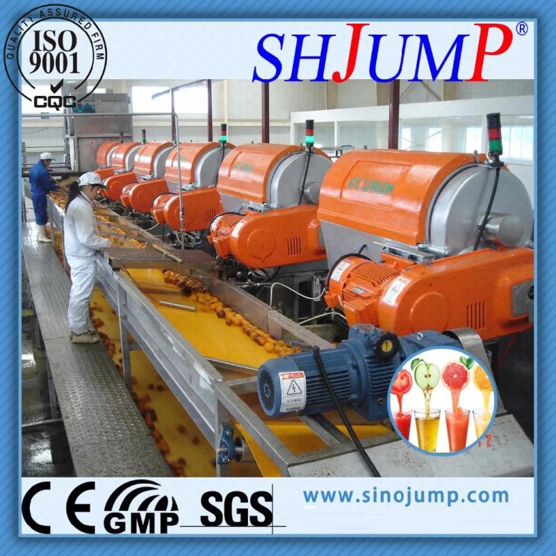 European Standard Apple Pulp Processing Machine