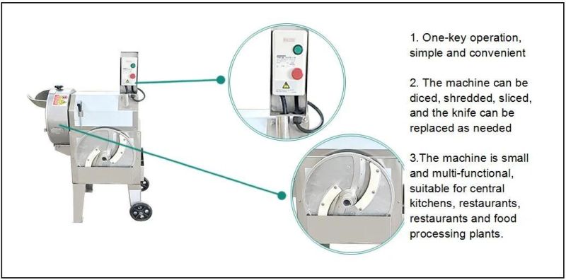 Carrot Cucumber Onion Ginger Radish Beet Taro Cutter Cutting Machine