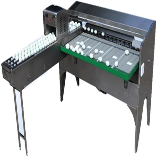 Full Automatic Egg Sorting Machine