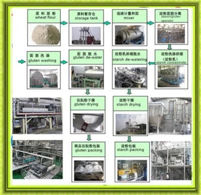 Hot Sale Wheat Starch Gluten Production Line