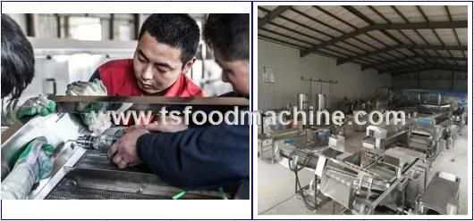 Industrial Ball Rootstock Vegetable Cutter Onion Cutting Machine