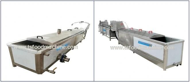 Vegetable Sterilization Line, Fruit Blancher and Vegetable Blanching Sterilizer Machine