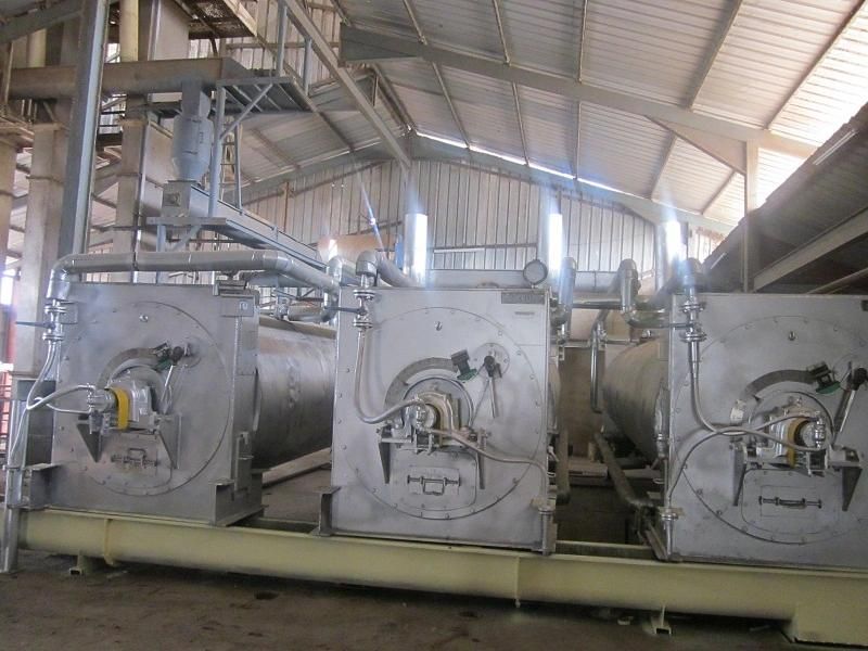 China New Design Vegetable Oil Press