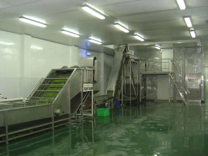 IQF Tunnel Freezer for Meat Fish Fruit and Vegetable