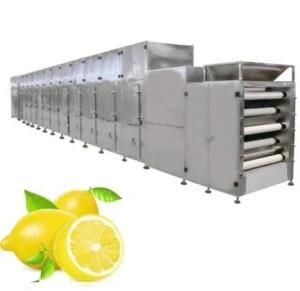 Fruit Drying Machine/Dehydration Machine/Industrial Food Dehydrator