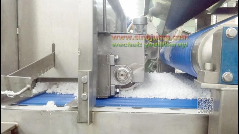 Coconut Oil Press Machine/Coconut Oil Extraction Machine/Coconut Processing Machinery