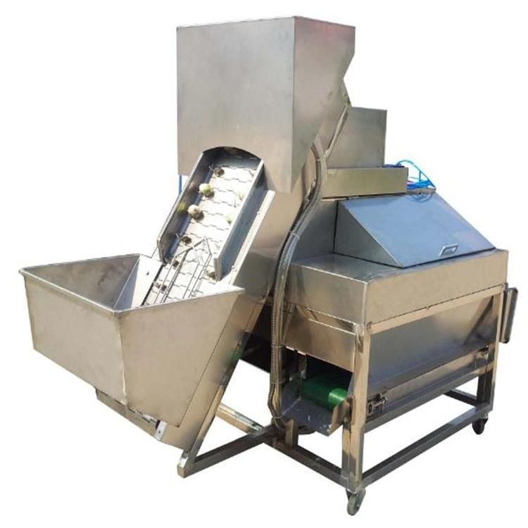 Fully Automatic Three Conveyor Belt Onion Peeling and Cutting Machine