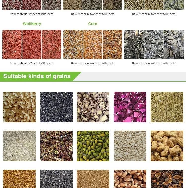 Grain Seed Cleaning and Grading Machine Grains Stone Separator Corn Grain Separating Selector Machine