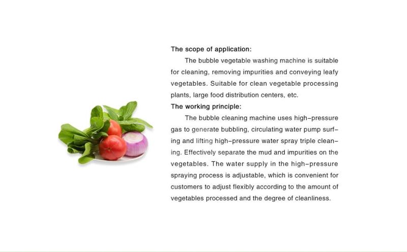 Industrial Automatic Food Processor Fruit Vegetable Ozone Bubble Washer Ultrasonic Ginger Cassava Washing Machine Ts-X300