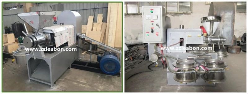 30kg/H Small Domestic Hydraulic Oil Making Machine Sesame Oil Press