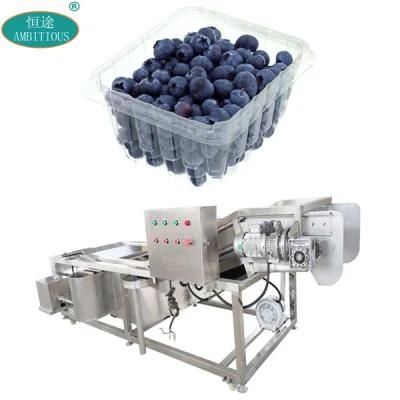 Industrial Cleaner Air Bubble Fruits Washing Machine Conveyer Belt Washer Fruit