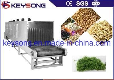 Apples Mesh Belt Dryer, Food Processing Equipment