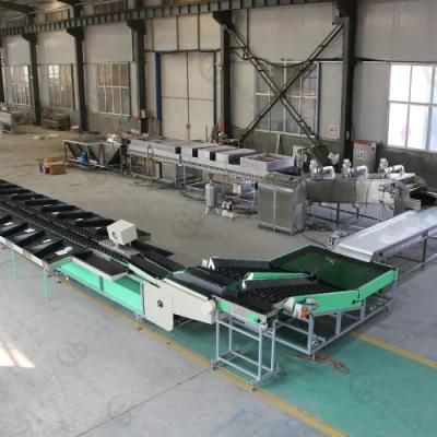 Apple Cassava Orange Washing Waxing Grading Line for Factory