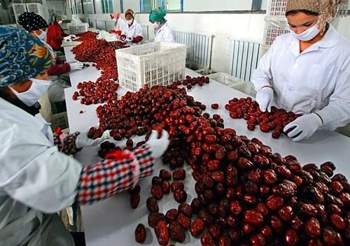 Dates Jam Production Line/Making Machine