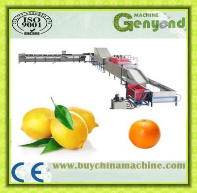 Orange Washing Waxing Sorting Machine Line