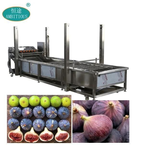 High Efficiency Professional Fig Washing Machine Fig Washer