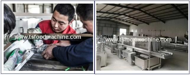 Stainless Steel Raw Potato, Carrot Onion Apple Drying Machine