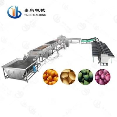 Industrial Avocado Orange Lemon Grapefruit Mango Washing Waxing Weight Grading Line for ...