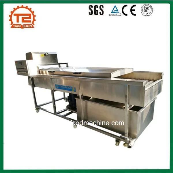 Tsxm-30 Ce Vegetable Fruit Cleaning Equipment Bubble Citrus Washing Machine