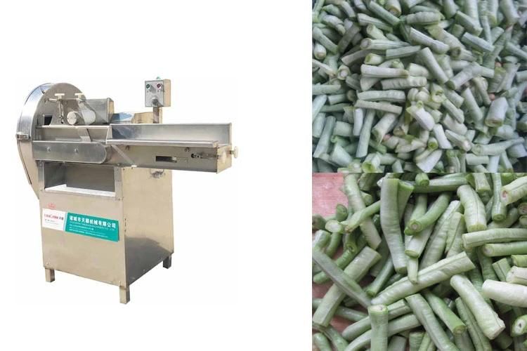 Belt Slicer Bean Shredder Machine Green French Green Beans Cutter