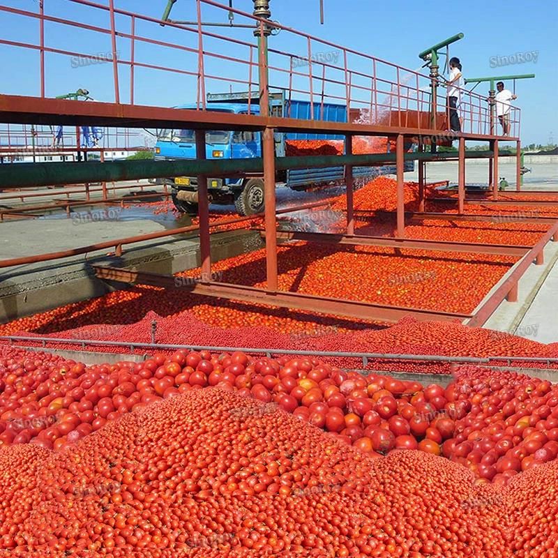 24 Tons Per Day Tomato Sauce Puree Jam Paste Ketchup Processing Line/Tomato Paste Production Line Machines