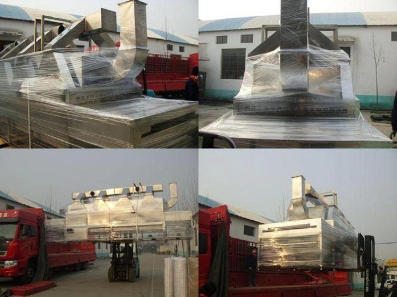 Industrial Tunnel Pumpkin Dryer Machine Microwave Drying Eqiupment