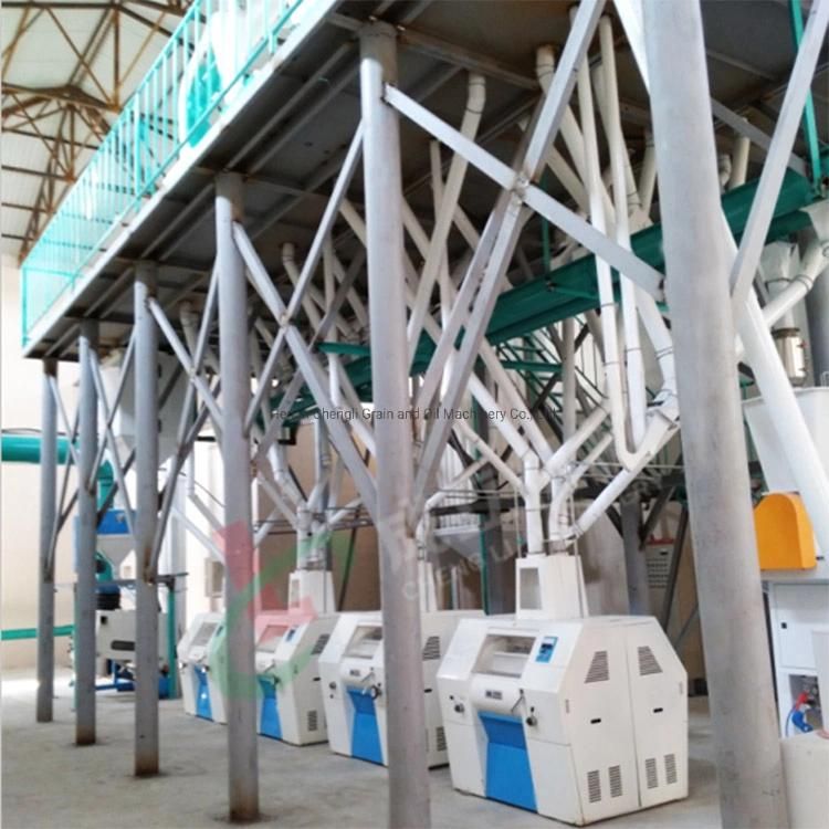 10ton/24h Complete Wheat Flour Milling