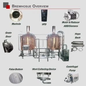 Electric Steam Direct Fire Heating The Beer Factory Hotel Small Sized Beer Brewing ...