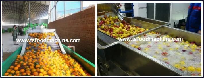 Continouse Washing Machine Food Processing Machine Fruit and Vegetables Washer